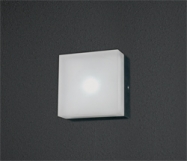 Светильники для ванных комнат Terra 555.11 cold white